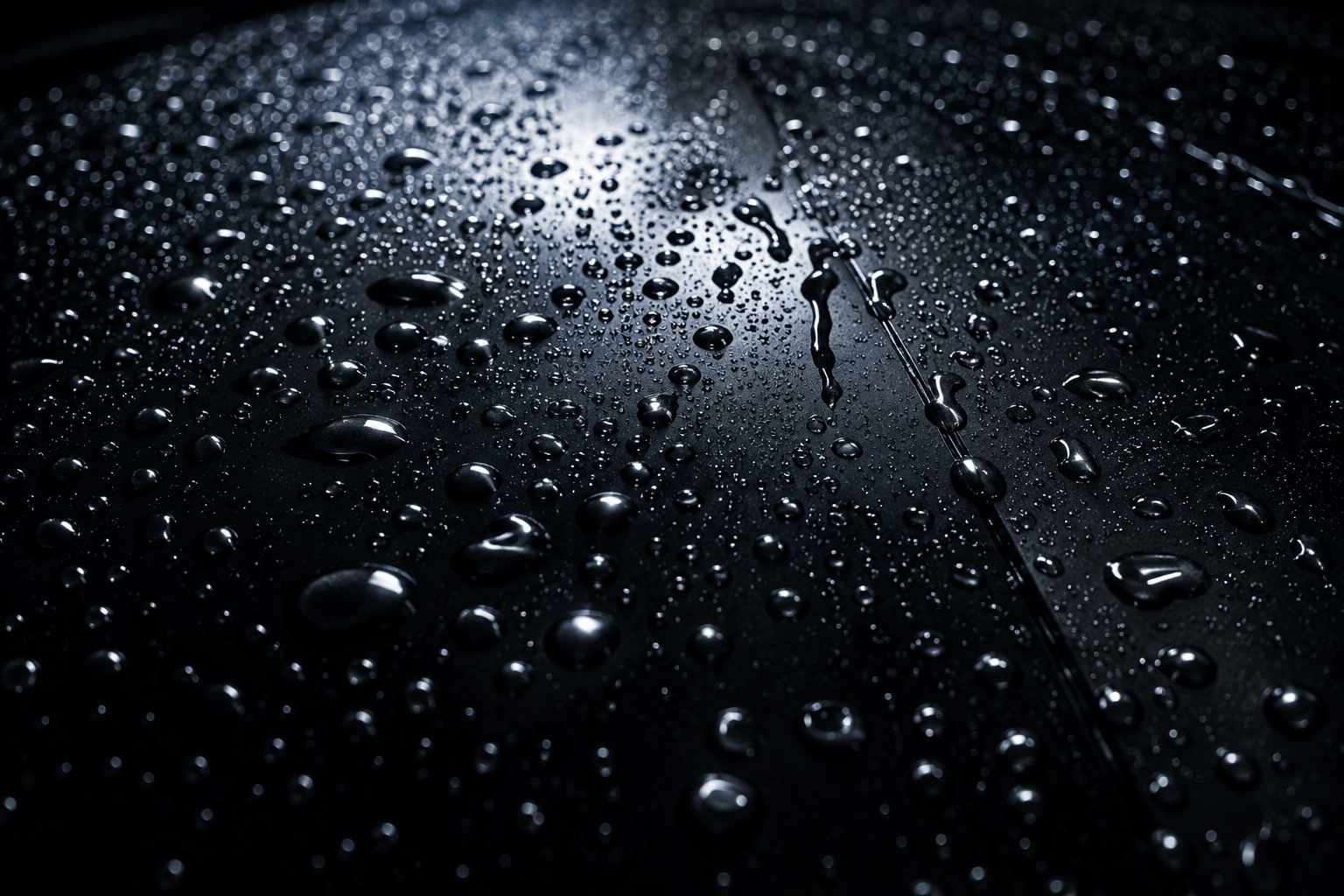 Detail Pro